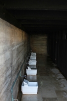 23_dppb0000013.jpg