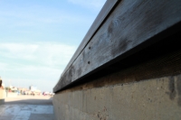 23_dppb0000014.jpg