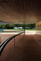 29_dppb0000003.jpg